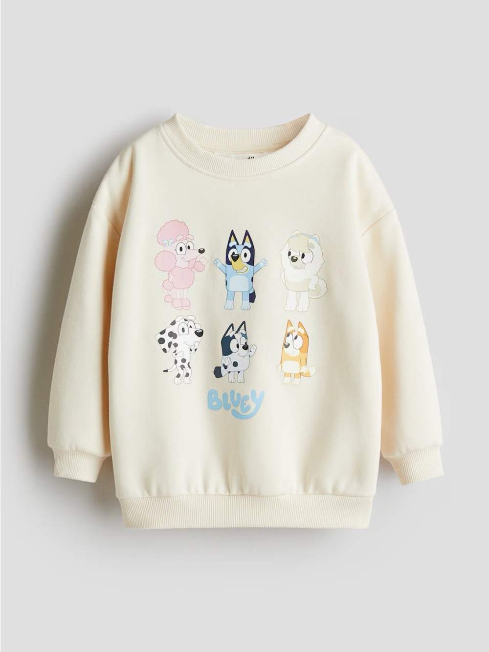 H&M Bluey Sweatshirt